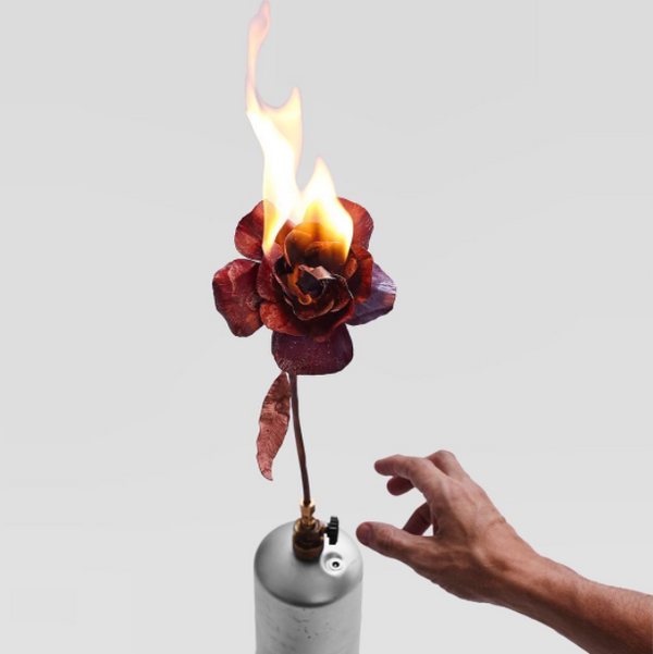Fire Rose